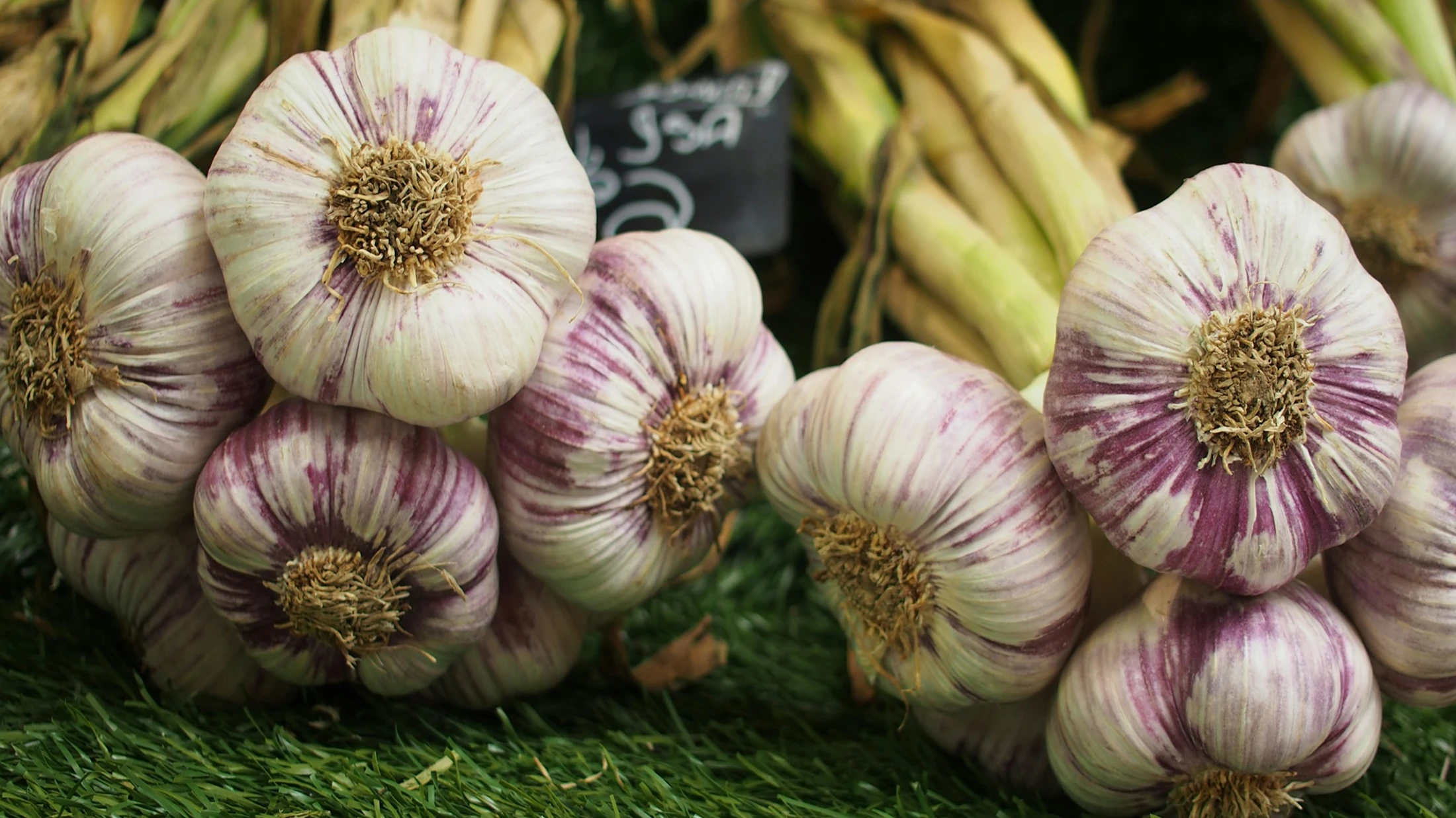 Kisten mit frisch geerntetem Knoblauch